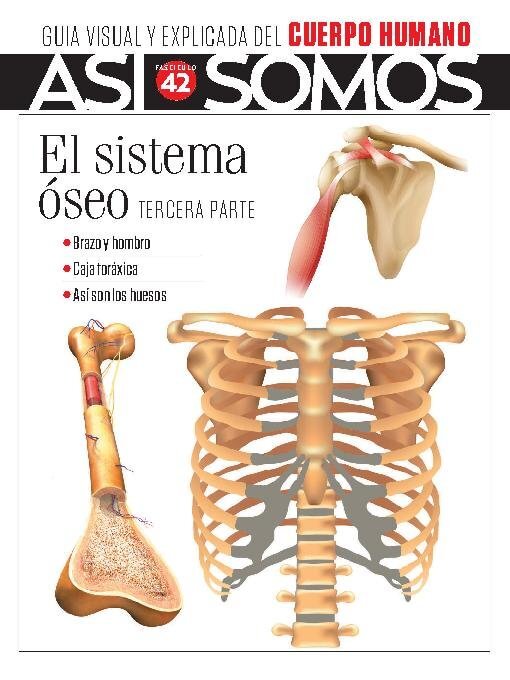 Title details for Así Somos - El cuerpo humano by Media Contenidos - Available